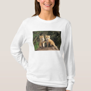 Red Fox pup in front of den Vulpes vulpes) T-Shirt