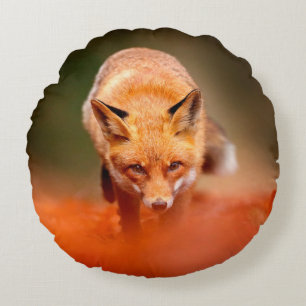 Red fox running on orange autumn leaves. Cute Red  Round Cushion
