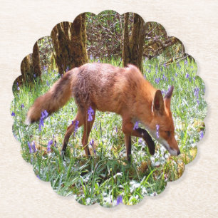 Red Fox Seasonal Bluebell Bloom Landscape Meadow Paper Coaster