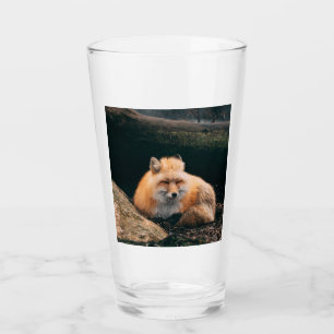 Red Fox Sleeping Glass