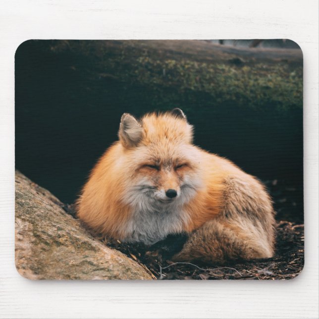 Red Fox Sleeping Mouse Mat (Front)