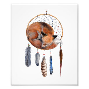 Red Fox Sleeping on Dreamcatcher Art Print