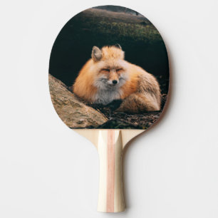 Red Fox Sleeping Ping Pong Paddle