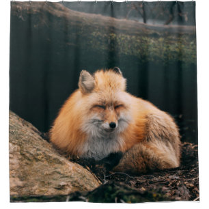 Red Fox Sleeping Shower Curtain