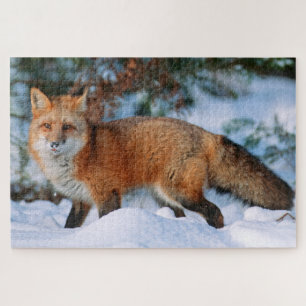 Red Fox   Snow in Winter, Montana Jigsaw Puzzle