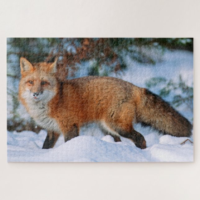 Red Fox | Snow in Winter, Montana Jigsaw Puzzle (Horizontal)