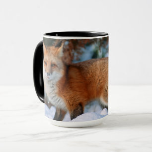 Red Fox   Snow in Winter, Montana Mug