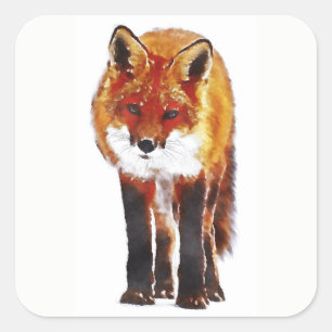 Red Fox Square Sticker
