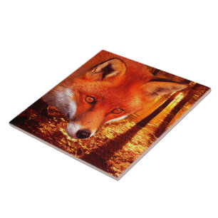 Red Fox Tile