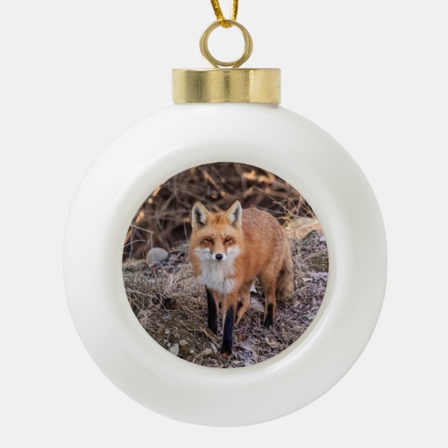 Red Fox up close and personal Ceramic Ball Christmas Ornament (Front)