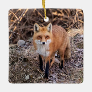 Red Fox up close and personal Ceramic Ornament