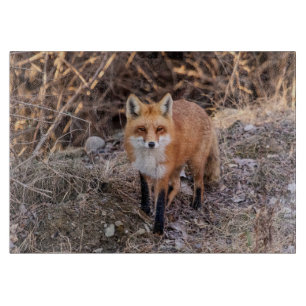 Red Fox up close and personal Cutting Board