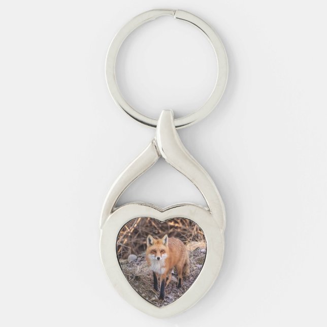 Red Fox up close and personal Key Ring (Front)
