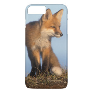 red fox, Vulpes vulpes iPhone 8 Plus/7 Plus Case