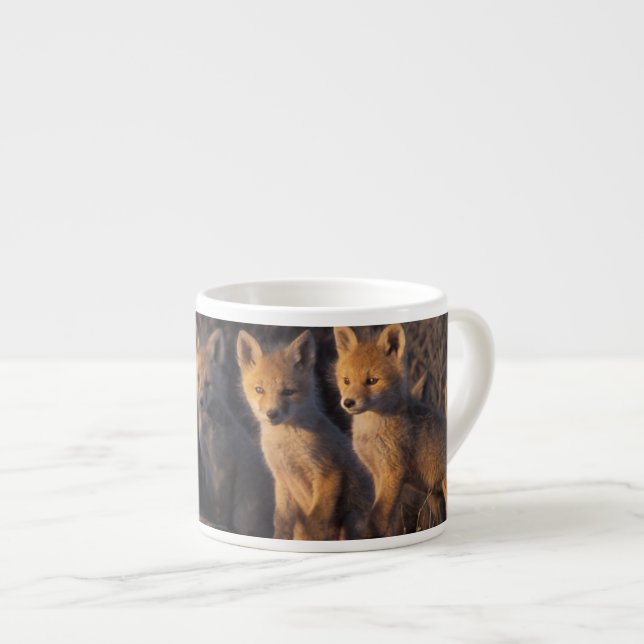 red fox, Vulpes vulpes, kits Espresso Cup (Front Right)