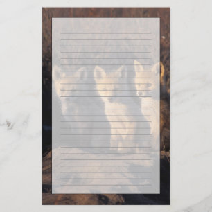 red fox, Vulpes vulpes, kits Stationery
