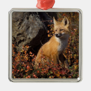 red fox, Vulpes vulpes Metal Tree Decoration