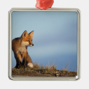 red fox, Vulpes vulpes Metal Tree Decoration