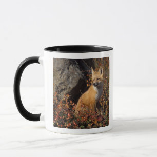 red fox, Vulpes vulpes Mug
