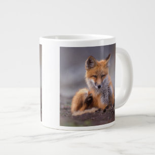 red fox, Vulpes vulpes, pup scratching itself, Large Coffee Mug