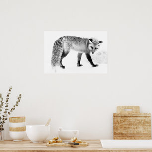 Red Fox WildLife Black & White Photography Art Poster
