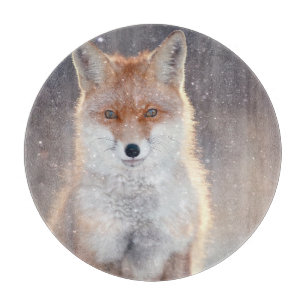 Red fox, winter forest, scenic illustration. cutting board