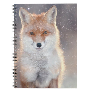 Red fox, winter forest, scenic illustration. notebook