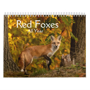 Red Foxes All Year Calendar