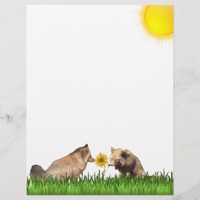 Red Foxes Frolicking with Sunflower Stationery (Front)