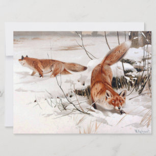 Red Foxes in the Winter Snow (by Wilhelm Kuhnert) Card