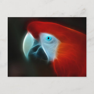 Red Fractal Parrot blue eyes Postcard