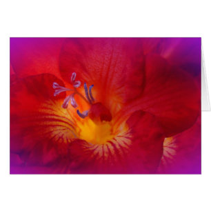 Red Freesia Flower Items