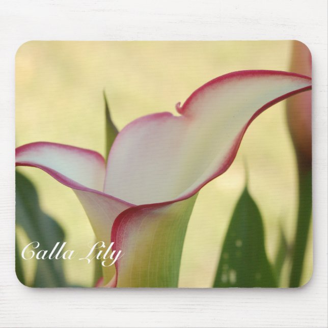 Red Fringe Calla Lily Mouse Mat (Front)