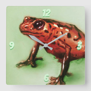 Red Frog Square Clock, Wild Animal Sketch in Green Square Wall Clock