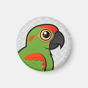 Red-fronted Macaw Magnet