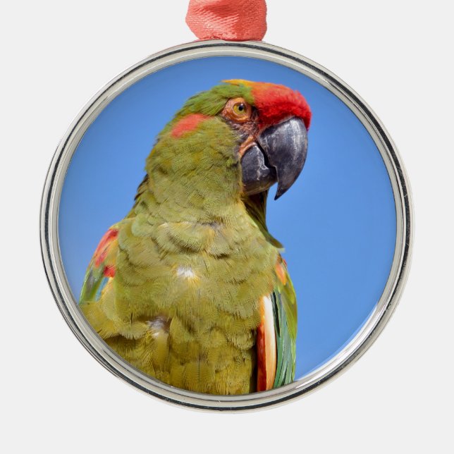 Red-fronted Macaw perched Metal Tree Decoration (Front)