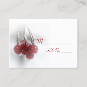 Red Frosty Berries Winter Wedding Place Cards