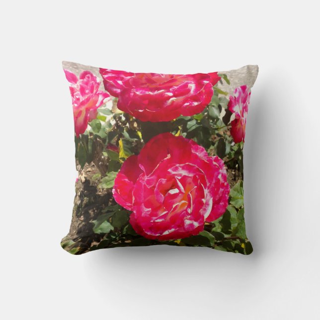 Red Garden Roses Cushion (Front)