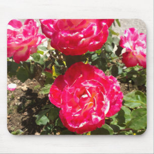 Red Garden Roses Mouse Mat