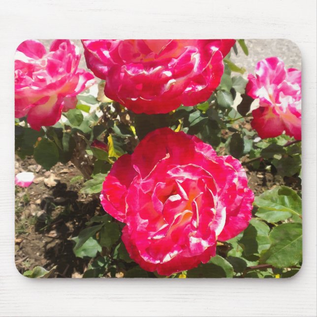 Red Garden Roses Mouse Mat (Front)