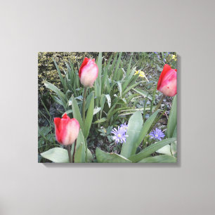 Red garden tulips canvas print