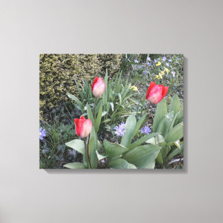 Red garden tulips canvas print