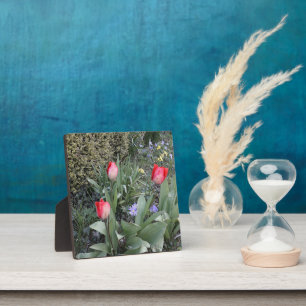 Red garden tulips plaque