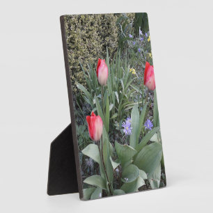 Red garden tulips plaque
