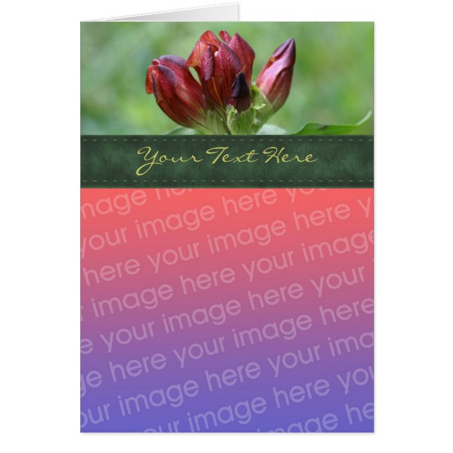 Red Gentian Flower Photo Card (Front)