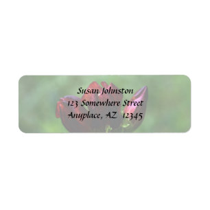 Red Gentian In Bloom Flower Address Label