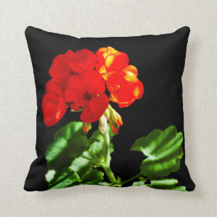 Red geranium flower cushion