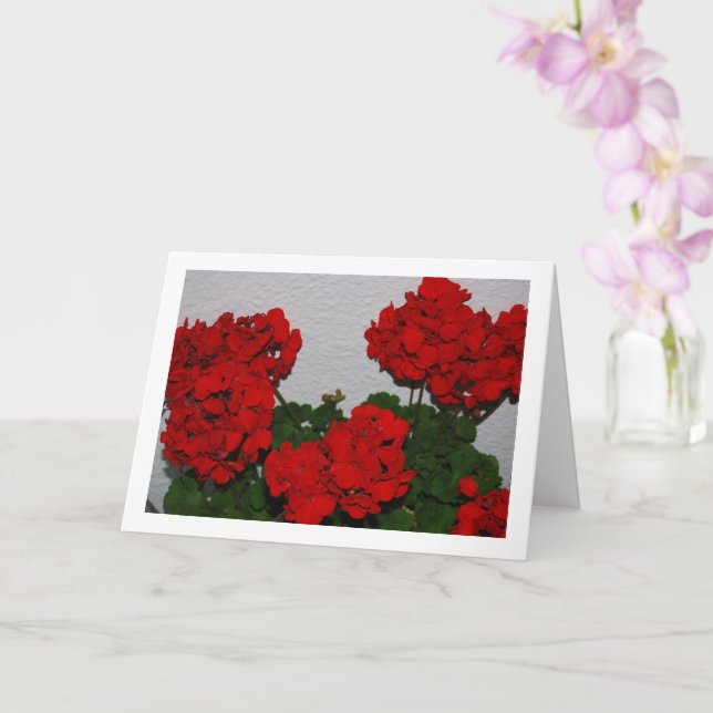 Red Geranium Flowers, Floral Portrait Card (Orchid)