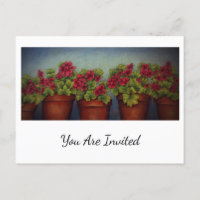 Red Geraniums in clay pots