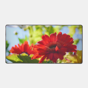 Red Gerber Daisies Beautiful Red Daisy Flowers Desk Mat